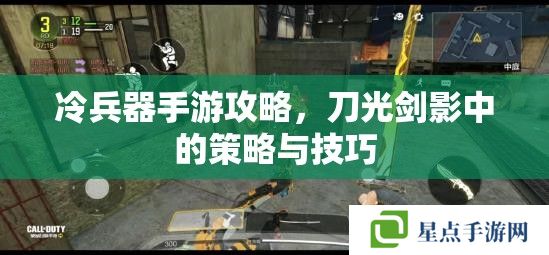 冷兵器手游攻略，刀光剑影中的策略与技巧