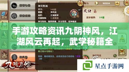 九阴神风再起江湖，手游攻略与武学秘籍全解析