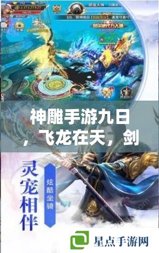 神雕手游九日飞龙攻略，剑指江湖的终极秘籍